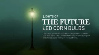 lights of