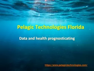Pelagic Technologies Florida - Data and health prognosticating