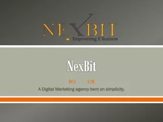 Know About Affordable Digital Marketing Agency in Indianapolis | NexBit