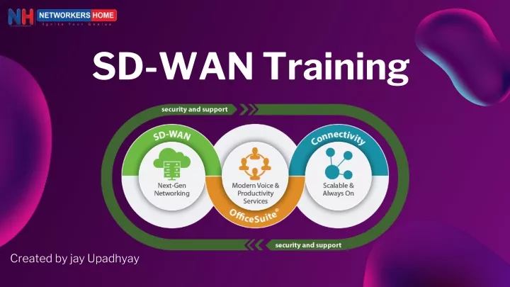 sd wan training