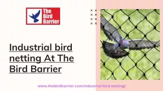 Best industrial bird netting at The Bird Barrier