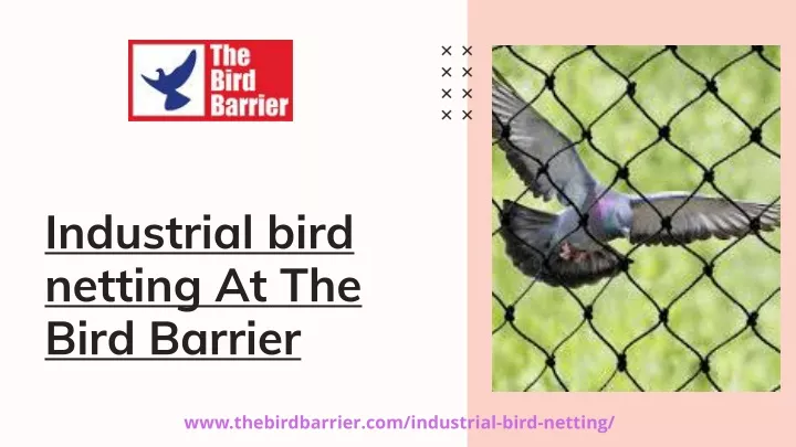industrial bird netting at the bird barrier