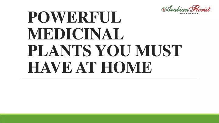 powerful medicinal plants you must have at home