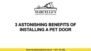 3 astonishing benefits of installing a pet door