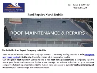 Top Roof Maintenance in North & South Dublin