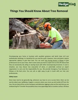 Things You Should Know About Tree Removal - Hedgekingottawa.ca