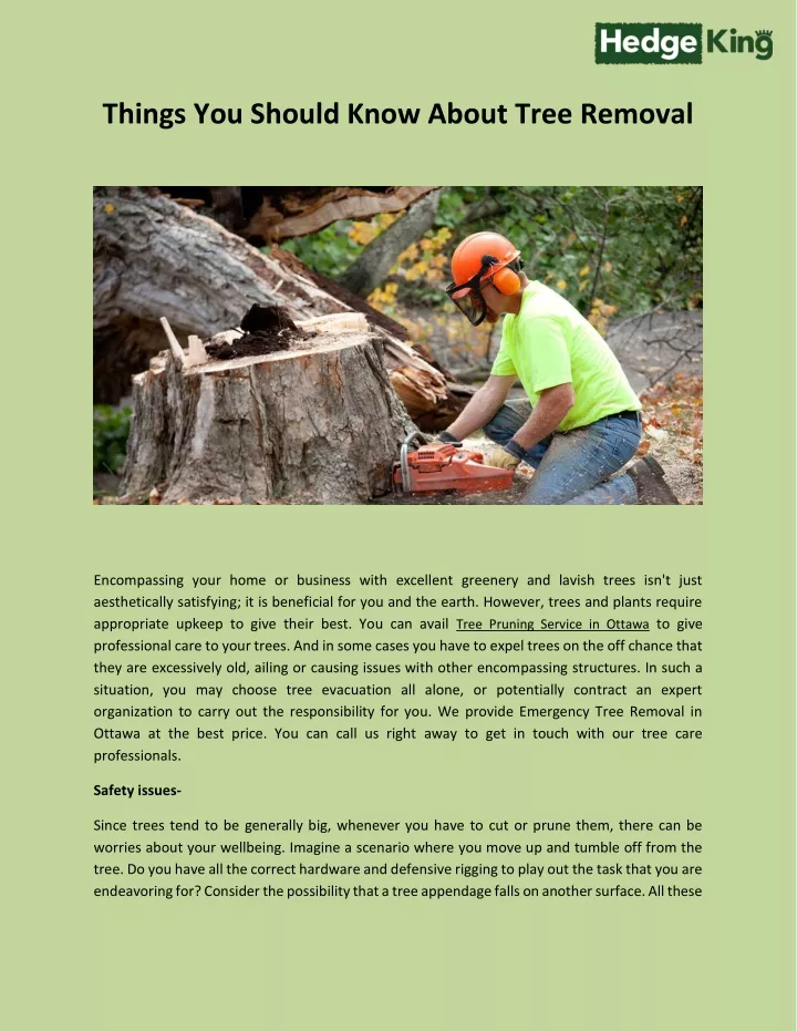 things you should know about tree removal