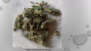 Cool Pictures of Reggie Weed