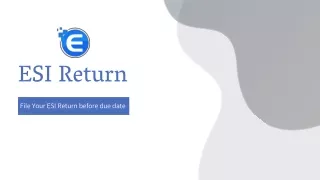 ESI Return Filing Process | ESI Return Online- Enterslice