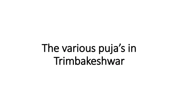 the various puja s in trimbakeshwar