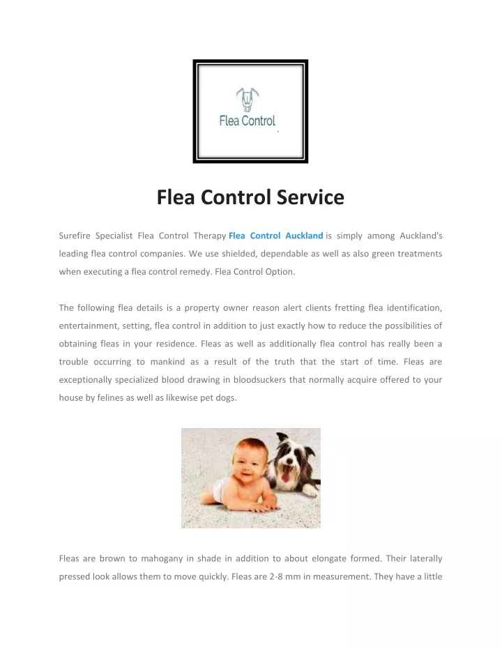 flea control service