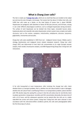 what is chang liver cells