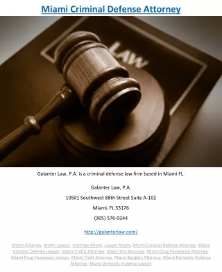 miami criminal defense attorney
