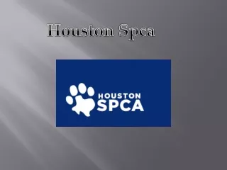 Houston animal cruelty