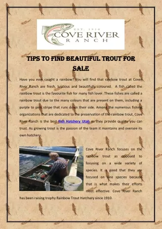 tips to find beautiful trout for tips to find