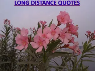 Long Distance Relationship Love Messages - LDR Quotes