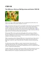 CBD Oil - slide 1