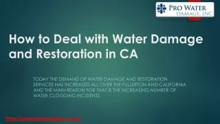Water Damage and Restoration Services