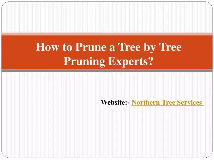 how to prune a tree by tree pruning experts