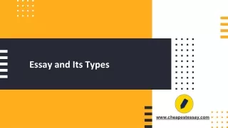 essay and its types