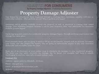 property damage adjuster
