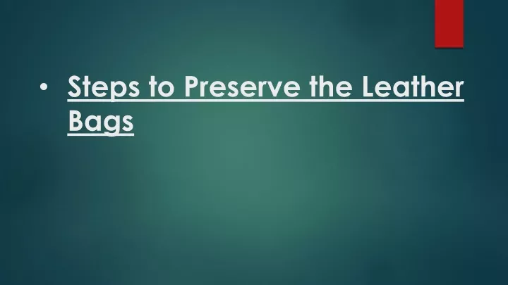 steps to preserve the leather bags