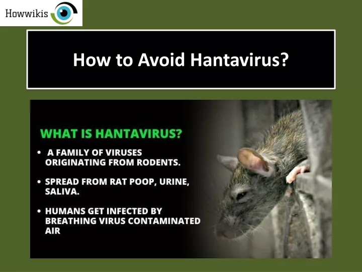 how to avoid hantavirus