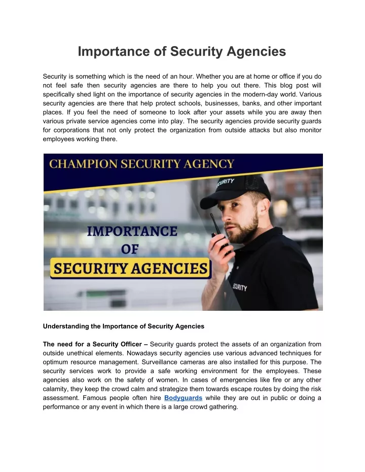 importance of security agencies