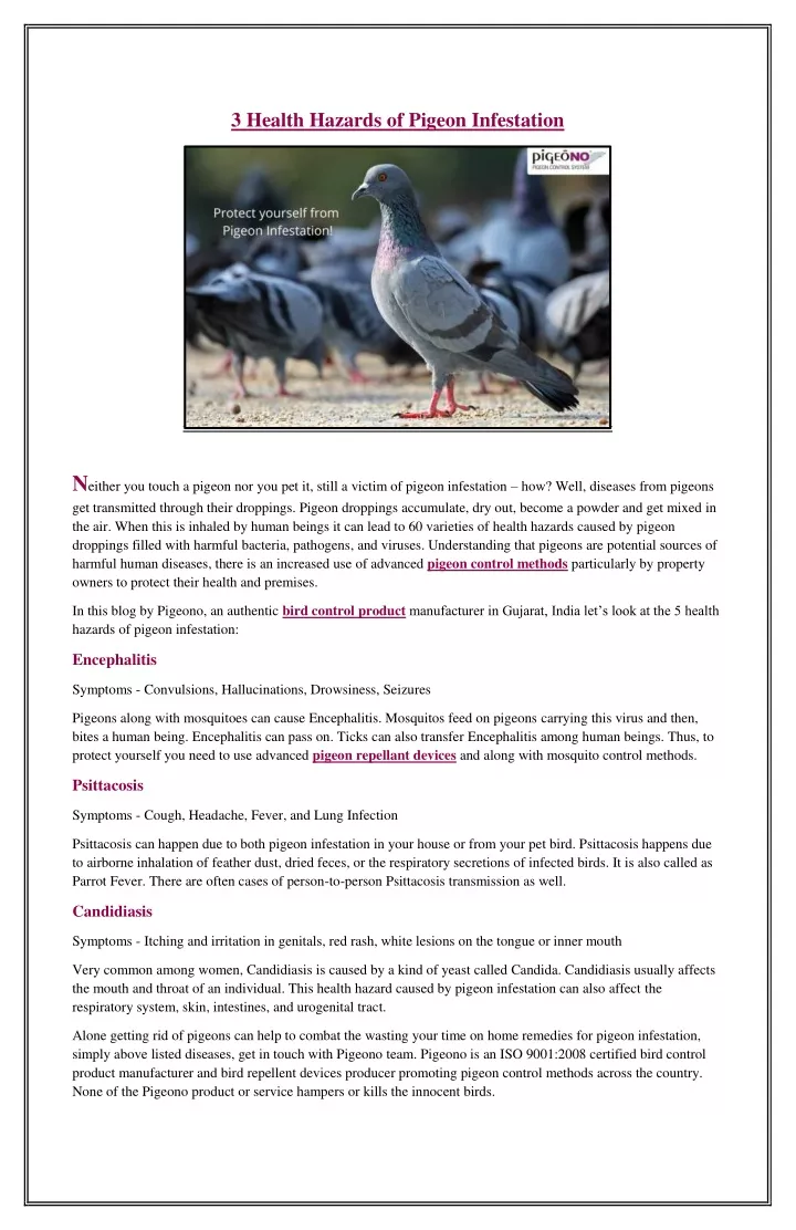 3 health hazards of pigeon infestation