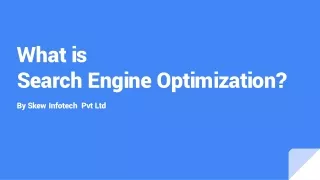 What is Search Engine Optimization?