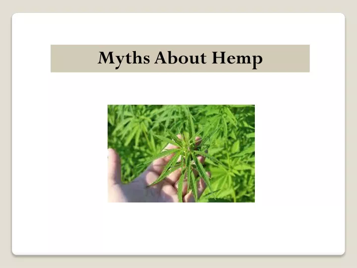 myths about hemp