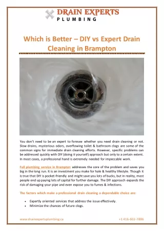 Which is Better – DIY vs Expert Drain Cleaning in Brampton