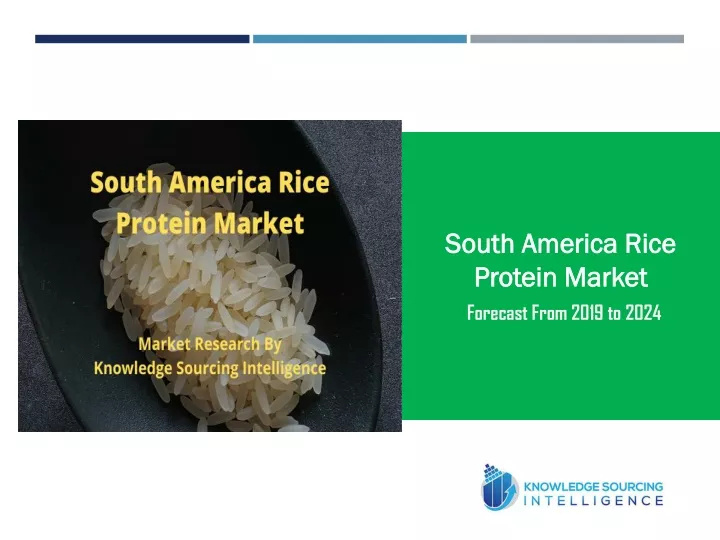 south america rice protein market forecast from