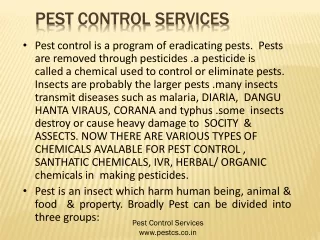Best Pest Control Company in Yamuna Nagar, Haryana