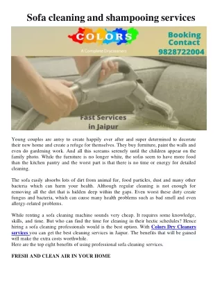 sofa cleaning and shampooing services