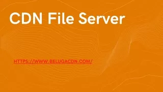 cdn file se rv e r