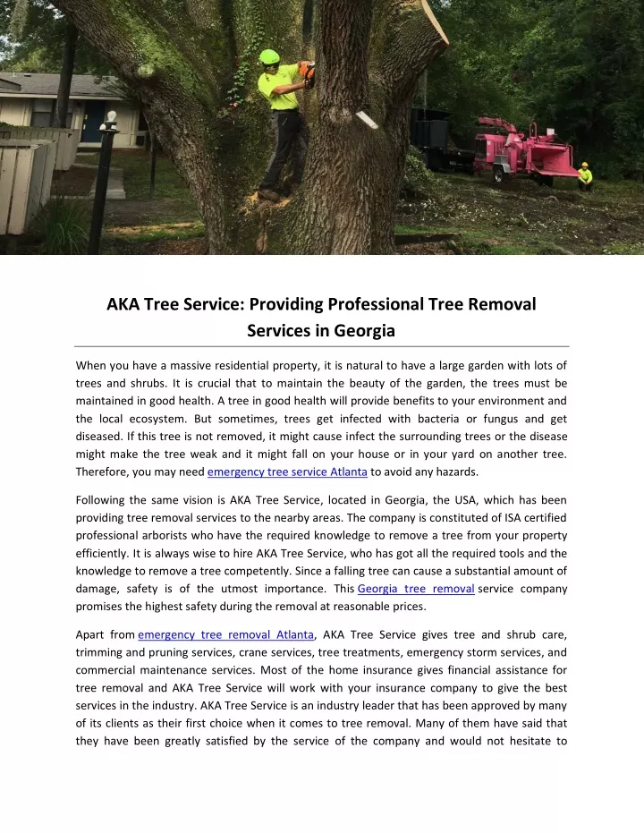 aka tree service providing professional tree