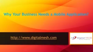 http www digitalmesh com