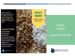 Perlite market to be Worth  US$1,201.604 million by 2024