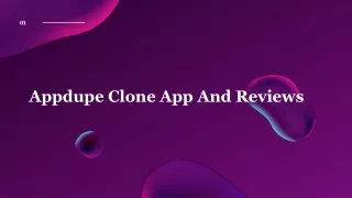 Appdupe Reviews & services