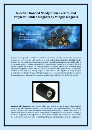 injection bonded neodymium ferrite and polymer