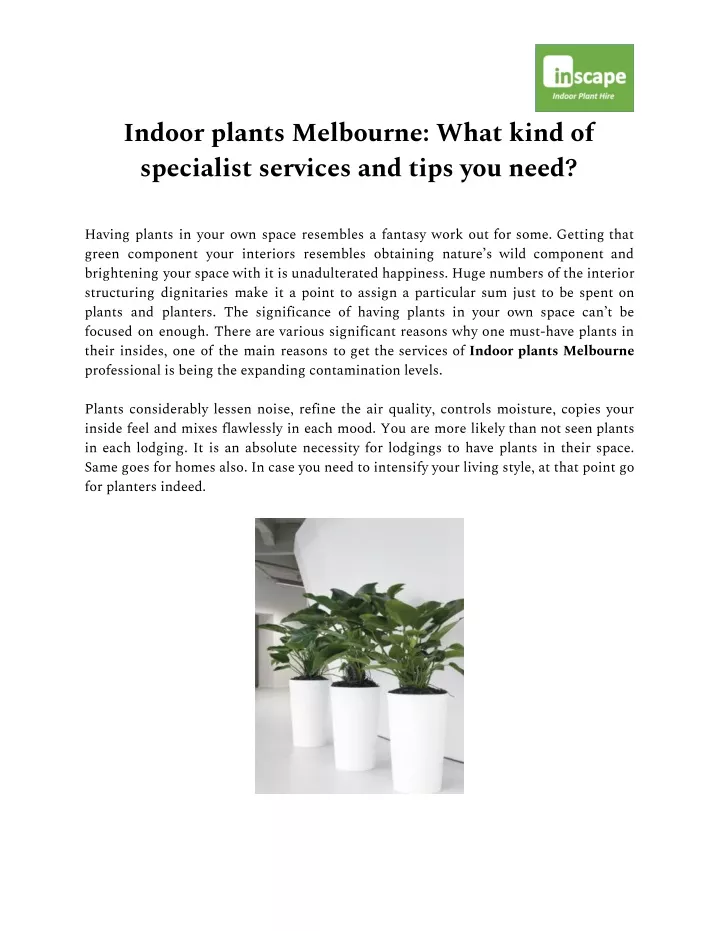 indoor plants melbourne what kind of specialist