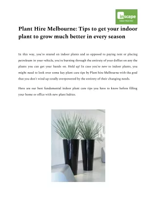 Plant Hire Melbourne: Tips to get your indoor plant to grow much better in every season