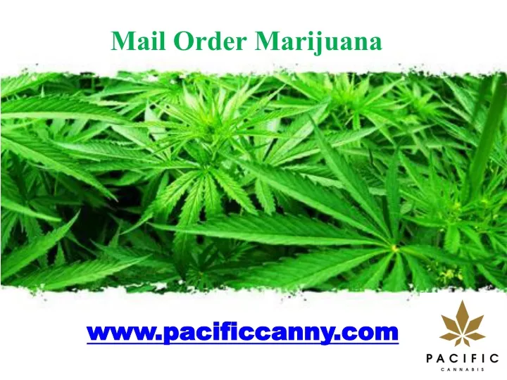 mail order marijuana