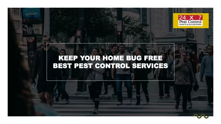 keep your home bug free best pest control services