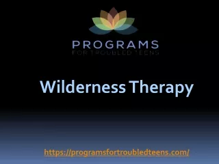 Wilderness Therapy  - programsfortroubledteens.com