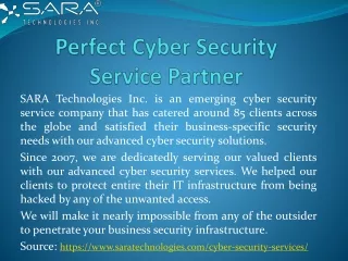 Perfect Cyber Security Service Partner