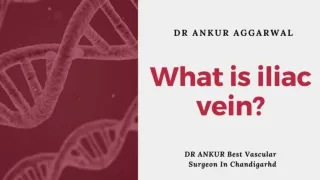 What is iliac vein