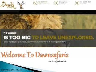 welcome to dawnsafaris