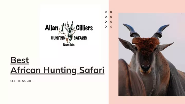 best african hunting safari